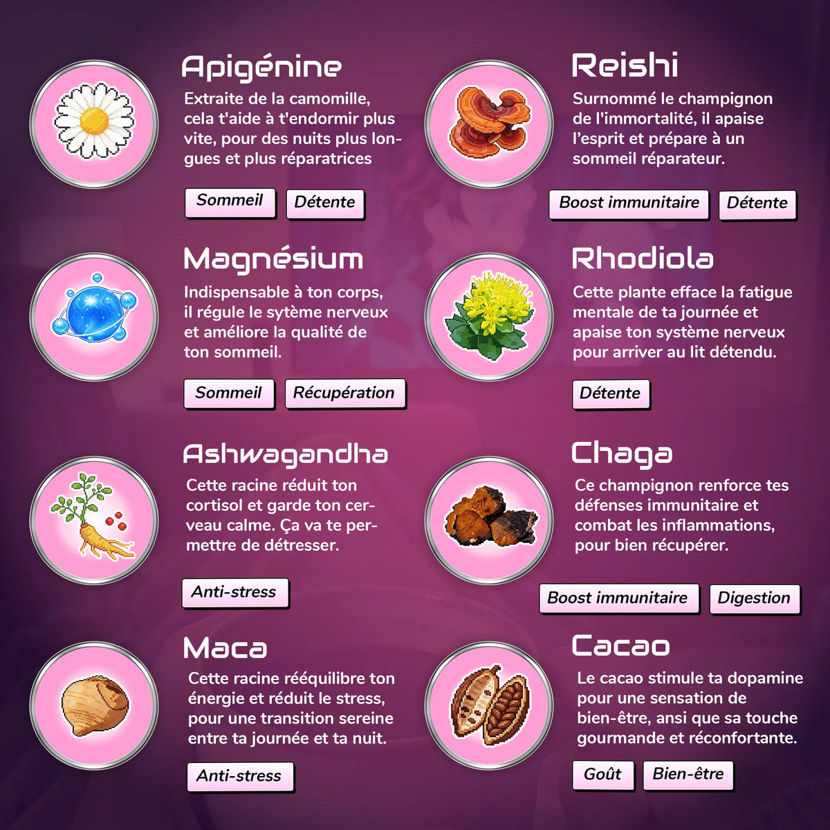 Les ingrédients de AFK Nights goût chocolat de chez Level Mana.